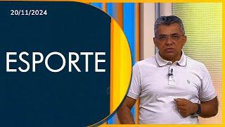 LEÃO DE OLHO NO MERCARDO |  Bom Dia Pará 20/11/2024