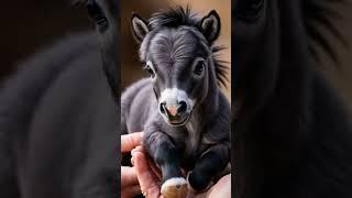 Tiny Hooves, Big Heart: Meet the Cutest Baby Horse Ever!#BabyHorse  #HorseLovers #CuteAnimals