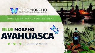 Blue Morpho - The Best Ayahuasca Retreat in the World !