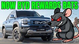 BYD is rewarding rats & snitches now | Auto Expert John Cadogan