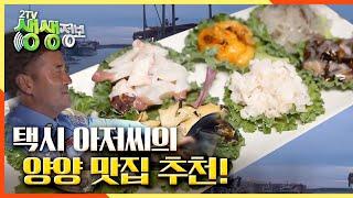 택시 아저씨의 양양 맛집 추천!