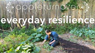 permaculture magazine’s everyday resilience on appleturnover farm