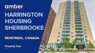 Property Tour | Harrington Housing Sherbrooke, Montreal | Student Accommodation in Canada | amber