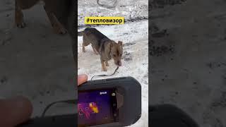 Что отображает #тепловизор?!! #осмотр #проф #приемка #москва https://www.profpriemka.moscow