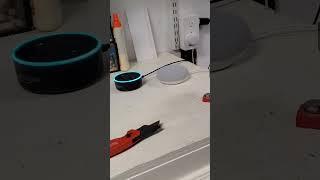 Alexa Meets Google