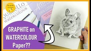 Drawing a REALISTIC MOUSE in GRAPHITE PENCIL on Fabriano Artisco HOT PRESSED WATERCOLOUR PAPER