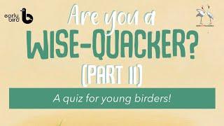 Are you a Wise Quacker? | A quiz for beginner birders PART 2