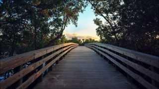 Massive Attack - Silent Spring (HQ)