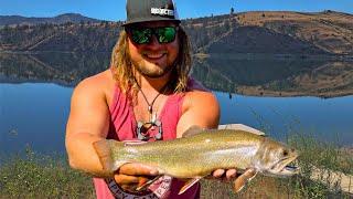 INSANE Washington Brooke Trout Fishing!