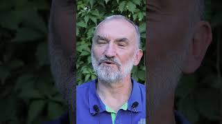 Художник Дмитрий Шмарин рассказывает Николай Зайцев картины семья близкие Россия жизнь искренность