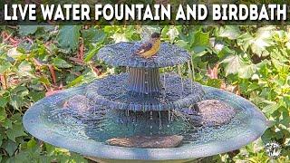 LIVE 24/7  BEAUTIFUL WATER FOUNTAIN WITH RELAXING SOUND.