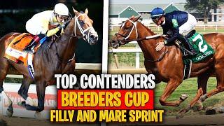 Top Contenders for Breeders' Cup Filly & Mare Sprint 2024!