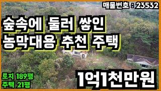 숲속에 둘러 쌓인 농막대용 추천 주택