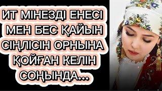 ИТ МІНЕЗДІ ЕНЕ МЕН ҚАЙЫН СІҢІЛДЕРІН ОРНЫНА ҚОЙҒАН КЕЛІН СОҢЫНДА...