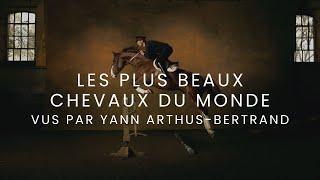 LES PLUS BEAUX CHEVAUX DU MONDE VUS PAR YANN ARTHUS BERTRAND [FR] Film complet