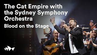 The Cat Empire with the Sydney Symphony Orchestra performs "Blood on the Stage"