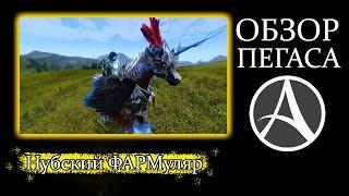 ОБЗОР ПЕГАСА(Stormwing Pegasus) - ArcheAge: Unchained.