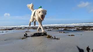 Explore The Stunning Lahinch Beach In County Clare On Ireland's West Coast!