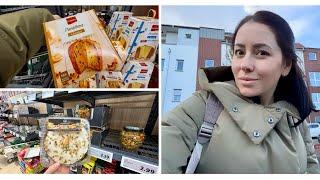 Milana LifeVlog Вкусный Panettone! | новинки в LIDL | купила курс немецкого | Жизнь в Германии