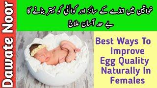 Best Way To Improve Egg Quality | Dawate Noor |