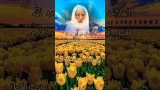 فضل قول سبحان الله وبحمده العلامه أبن عثيمين رحمه الله تعالى