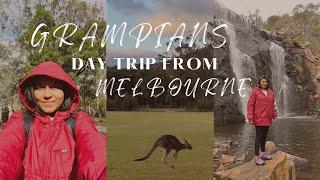 Solo travel to Grampians Day trip from Melbourne | Australia travel vlog