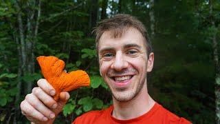 Lobster Mushroom Foraging. Lobster Roll Recipe. Hunting, Identification, and  Bushcraft Cooking.