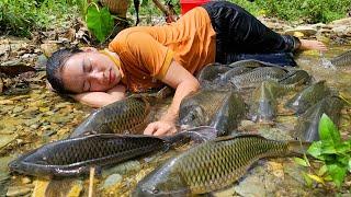 How to harvest wild fish from puddles to sell to earn money to raise children | Tin's Daily Life