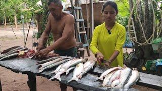 VÍDEO 90/TRATANDO E ASSANDO MAPARÁ PARA O ALMOÇO (PART 2)/COMUNIDADE RIBEIRINHA NO PARÁ