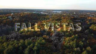 DJI Mini: Fall Vistas