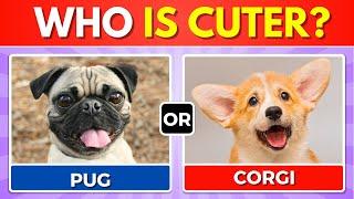 Which Dog is Cuter?  Would You Rather...? DOGS EDITION