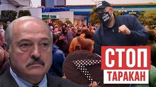 Мы едины! Как проходил пикет Сергея Тихановского. СТОП ТАРАКАН.