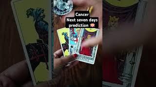 Cancer| Next seven days prediction @jyotithelightinsidetarot24  #tarot #tarotcardreading