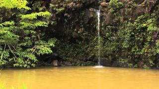 Aloha From Maui - "Pau'a Ka'a Falls"