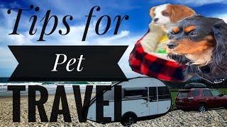 Tips for Traveling with Pets in an RV