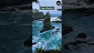 The Best Places To Visit Along The Washington Coast  | Travel #shorts