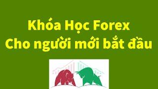 Forex | Khóa Học Giao Dịch Forex Miễn Phí Cho Người Mới | Đầu Tư Forex