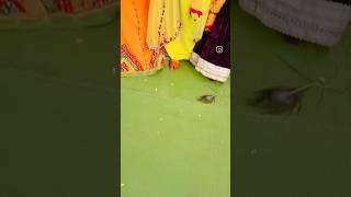 Radhe radhe#youtubeshorts#shorts#krishna#vivaah