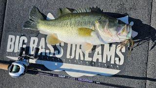 NEW Lews Reels St Croix Rods Douglas Rods Breakdowns - Oliver Ngy's 2024 Bass Fishing setups