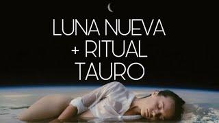 TAURO LUNA NUEVA  + RITUAL…EL SOL HACE BRILLAR TU VIDA!!!…️️️