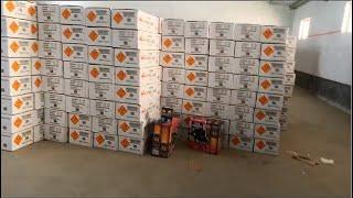 fireworks storage Liuyang  2020