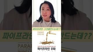 일하지 않아도 매달 들어오는 수입?? #파이프라인 그건 왜만들어야해??#pipeline #pipelinetrack #pipelinework #pipelinejob