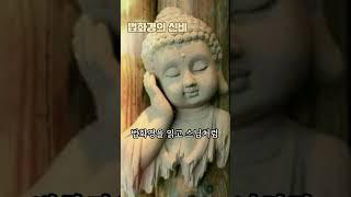 법화경의 힘이, 이생에 스님이 지은 업장을 녹여준 것입니다.법화경의 신비한 힘을 경험한 후로는 불법에 대해서 하나를 알면 열을 알고, 열을 알면 백을 알게 되었다#황전스님#사경