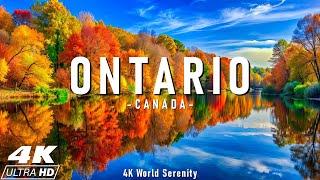 Autumn Ontario 4K Ultra HD • Enchanting Forest Views, Scenic Relaxation Film with Calming Music