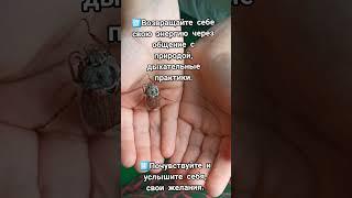 Чек-лист при апатии. Музыка: WheneverМузыкант: LiQW #апатия #усталость #психология