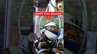 GIANT Claw Machine! 
