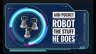 AIBI Pocket Pet the stuff he does