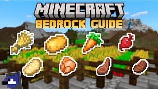 BEST FOOD for Early Game DISCOVERED! | Minecraft Bedrock Guide 1.20