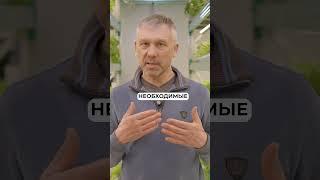 После ЭТОГО зелень будет расти, КАК НА ДРОЖЖАХ! #здоровье #зелень #питание