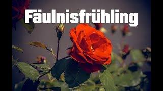 Dunkle Jahreszeiten: Fäulnisfrühling [Creepypasta Original]